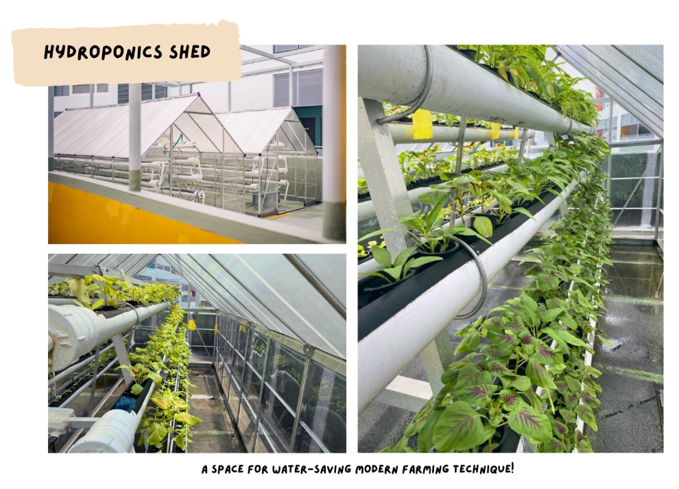 Hydroponics Shed